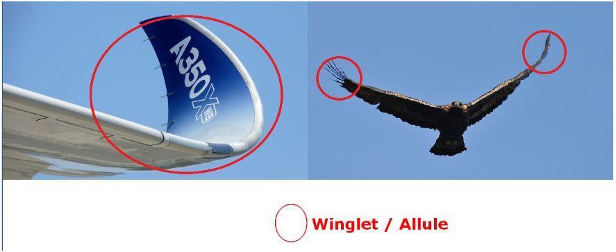 les 4 forces de l'aérodynamisme